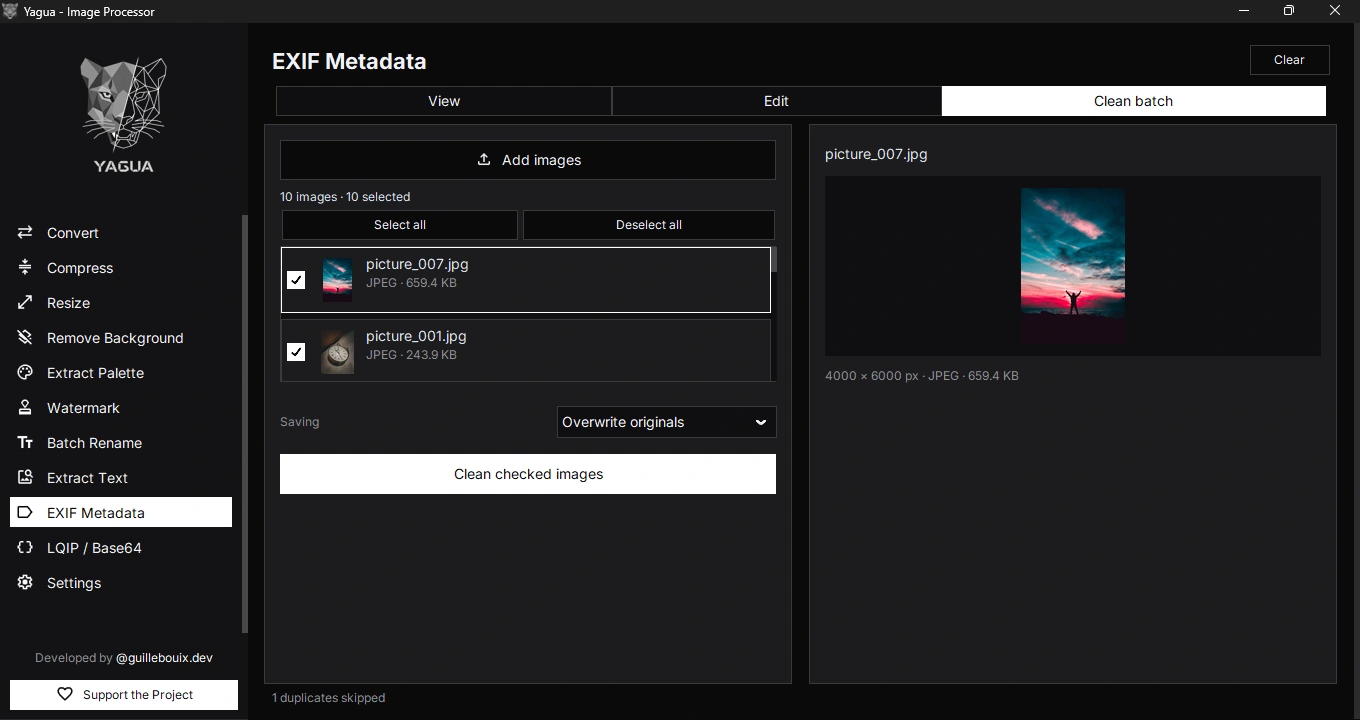 Clean batch metadata with ten selected images.