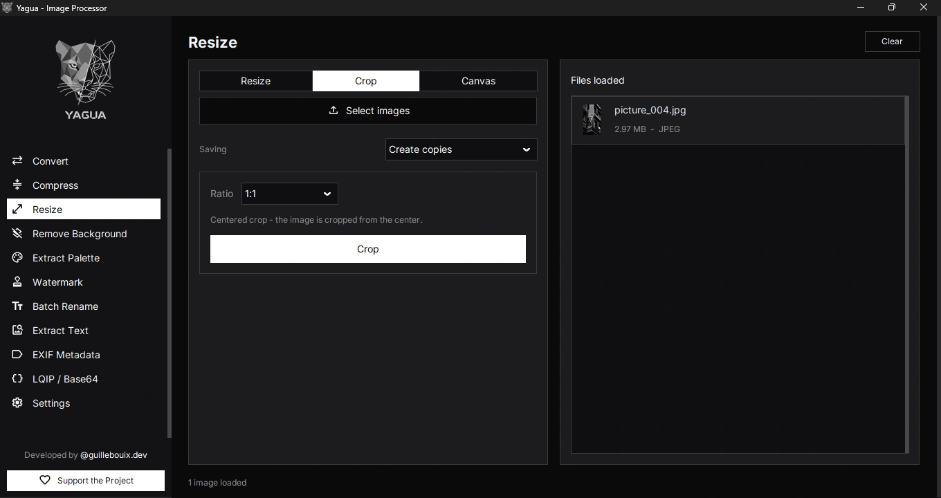 Crop with one loaded image and the 1:1 ratio selected.
