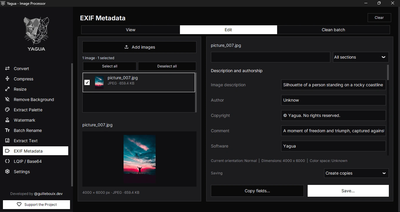 EXIF editor with description and authorship fields, a preview, and Create copies selected.